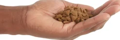 Acana Cat Indoor Entree 1.8kg