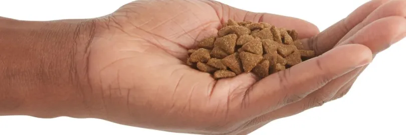 Acana Cat Indoor Entree 4.5kg