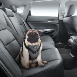 AFP Travel Dog Arnes de Seguridad M