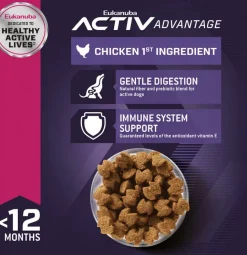 Alimento Eukanuba Puppy Large Breed 15kg