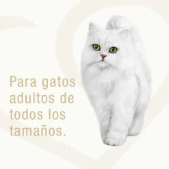 Alimento Fancy Feast Casserole Atún Salmón 85g