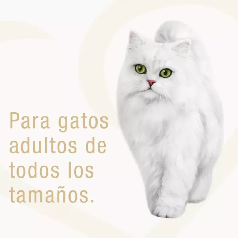 Alimento húmedo Fancy Feast Goulash Atún 85g PACK 15 Unidades