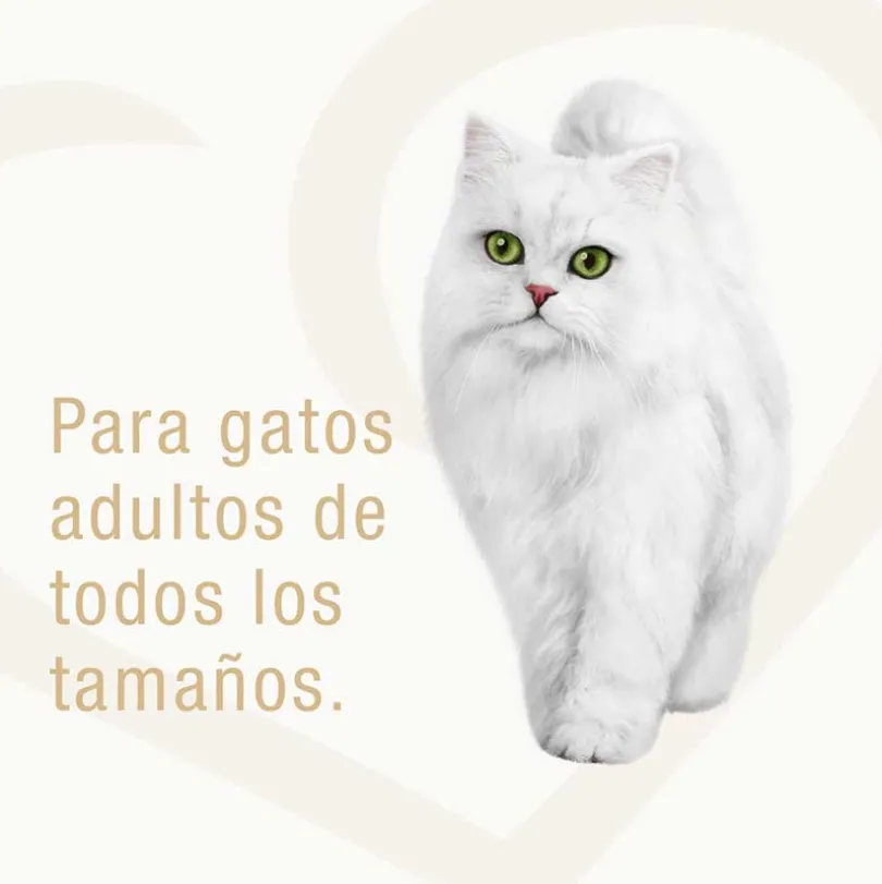 Alimento húmedo Fancy Feast Goulash Atún 85g