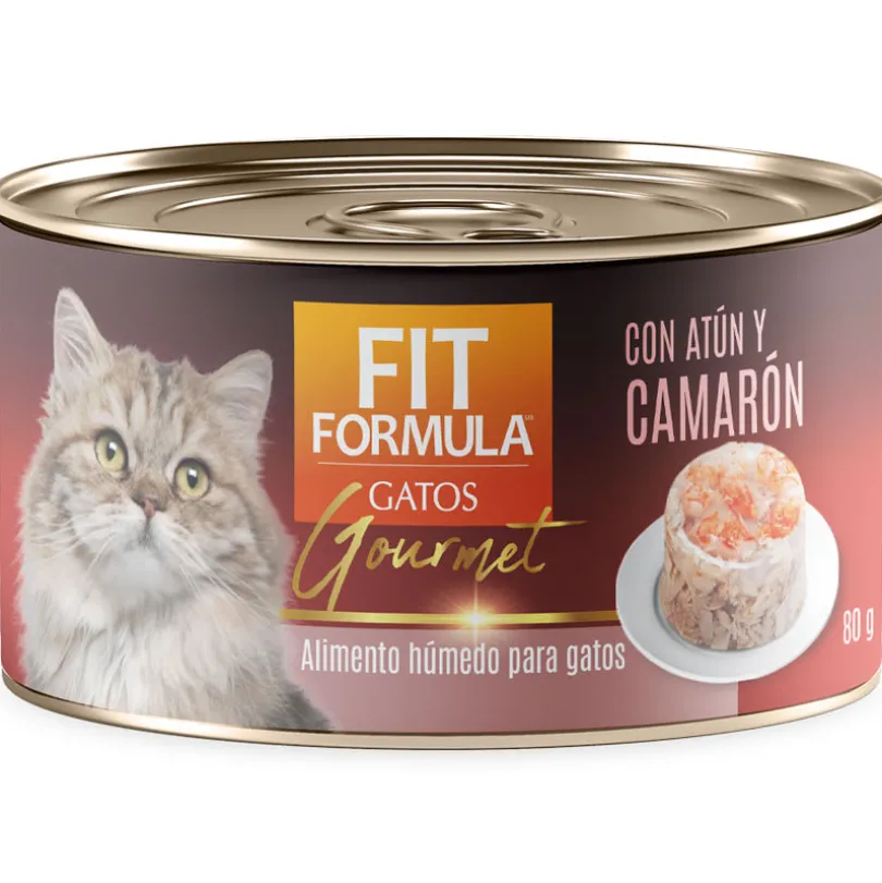 Alimento Húmedo Fit Formula Gato Gourmet Pack Sabores 48un
