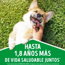 Alimento húmedo para perro DOG CHOW® Adultos Minis y Pequeños Sabor Carne 100gr Pack 15 Unidades