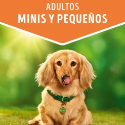 Alimento húmedo para perro DOG CHOW® Adultos Minis y Pequeños Sabor Salmón 100gr Pack 15 Unidades