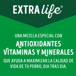Alimento húmedo para perro DOG CHOW® Adultos Minis y Pequeños Sabor Salmón 100gr Pack 15 Unidades