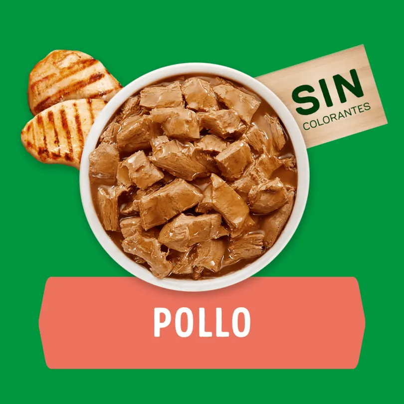 Alimento húmedo para perro DOG CHOW® Adultos con Pollo sobre 100gr Pack 15 Unidades