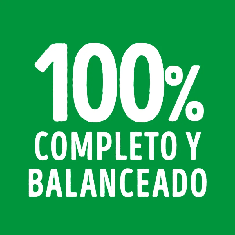 Alimento húmedo para perro DOG CHOW® Adultos con Cordero sobre 100gr Pack 15 Unidades
