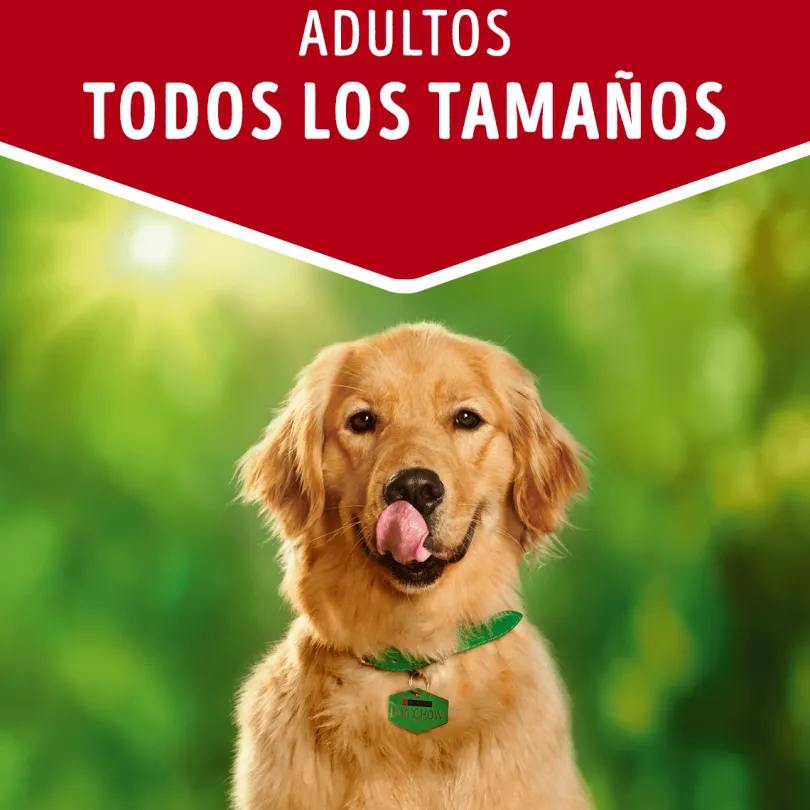 Alimento húmedo para perro DOG CHOW® Adultos con Carne sobre 100g Pack 15 Unidades