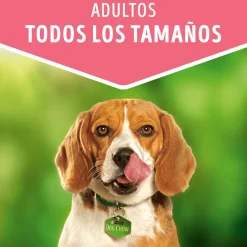 Alimento húmedo para perro DOG CHOW® Adultos con Pavo sobre 100gr Pack 15 Unidades