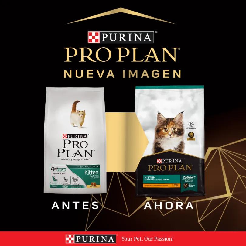 Alimento para gatitos PURINA PRO PLAN Kitten