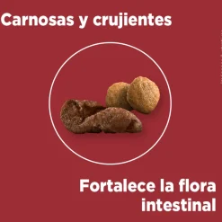 Alimento para perro PURINA® ONE® Adulto Mediano y Grande Pollo y Cordero