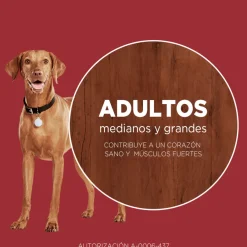 Alimento para perro PURINA® ONE® Adulto Mediano y Grande Pollo y Cordero