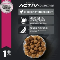 Alimento Perro Eukanuba Adult Large Breed 15kg