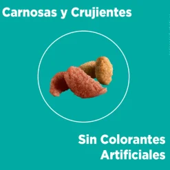 Alimento seco para gato PURINA® ONE® Adulto Pollo y Salmón