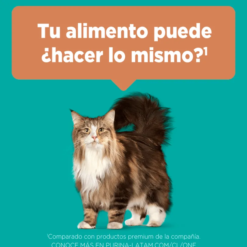 Alimento seco para gato PURINA® ONE® Adulto Pollo y Salmón