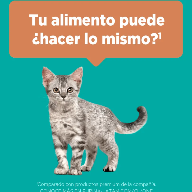 Alimento seco para gato PURINA® ONE® Gatito Pollo y Carne