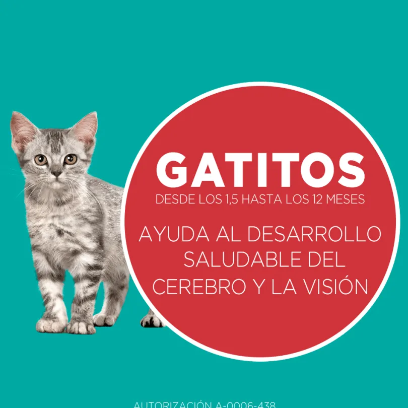 Alimento seco para gato PURINA® ONE® Gatito Pollo y Carne