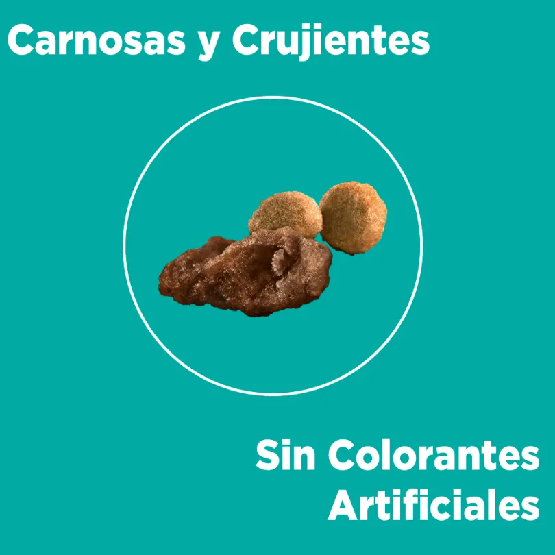 Alimento seco para gato PURINA® ONE® Adulto Pollo y Carne
