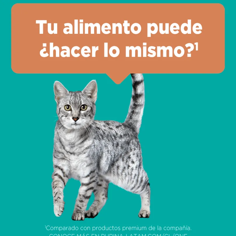 Alimento seco para gato PURINA® ONE® Adulto Pollo y Carne