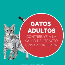 Alimento seco para gato PURINA® ONE® Adulto Pollo y Carne