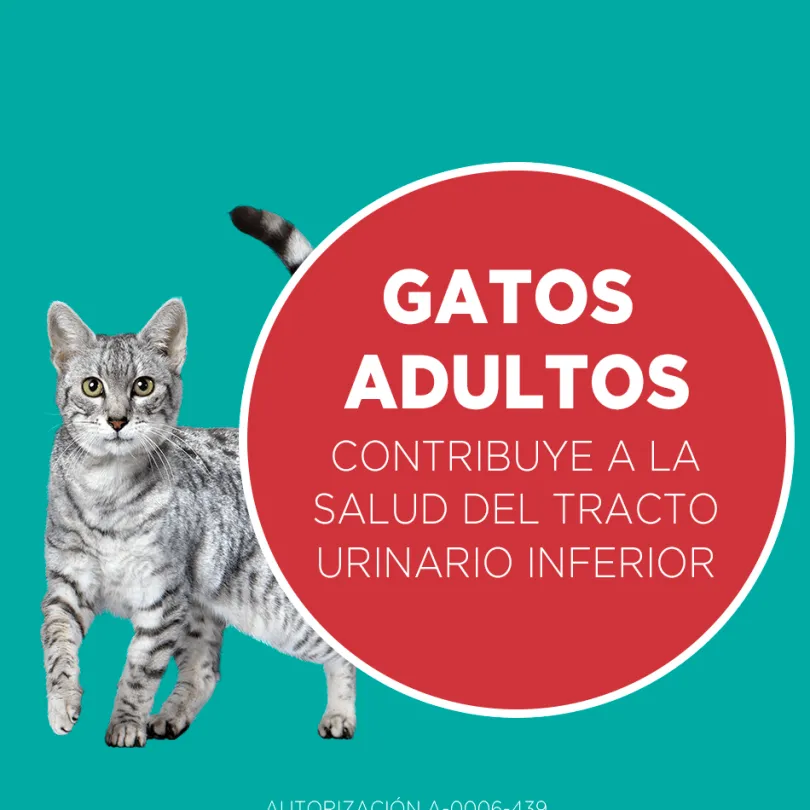 Alimento seco para gato PURINA® ONE® Adulto Pollo y Carne