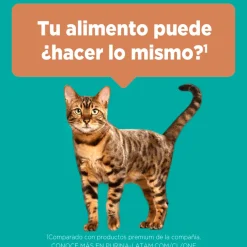Alimento seco para gato PURINA® ONE® Esterilizado Pollo y Salmón