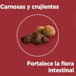 Alimento seco para perro PURINA® ONE® Adulto Mediano y Grande Pollo y Carne