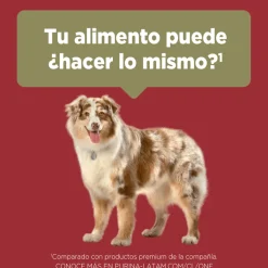 Alimento seco para perro PURINA® ONE® Adulto Mediano y Grande Pollo y Carne