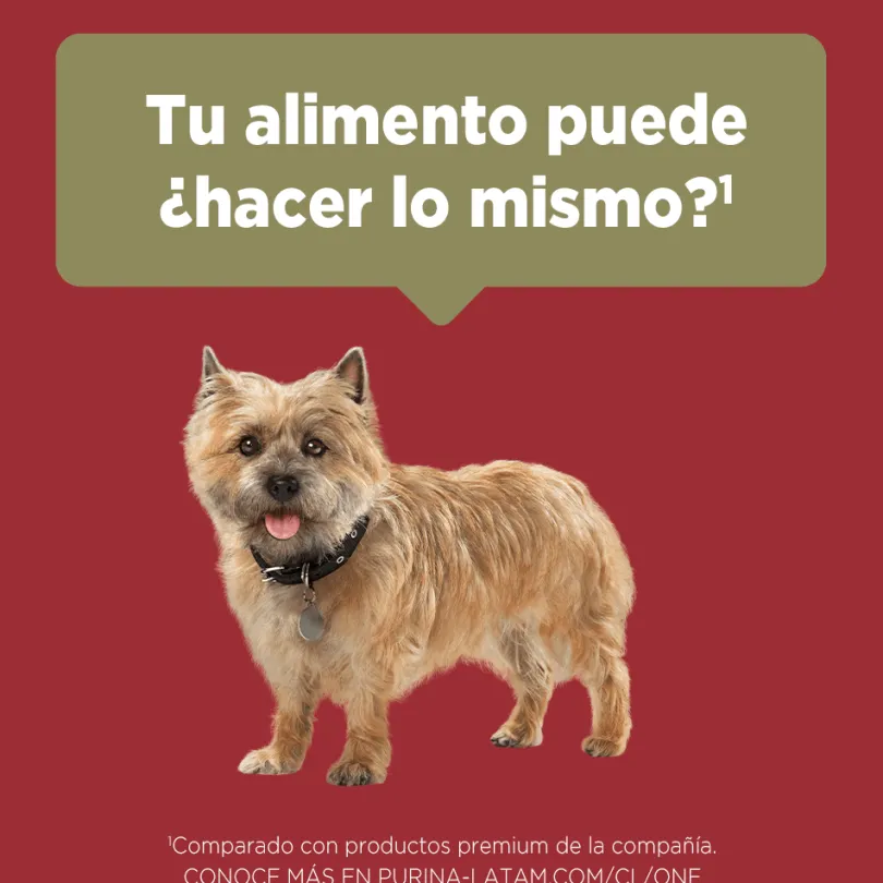 Alimento seco para perro PURINA® ONE® Adulto Mini y Pequeño Pollo y Cordero