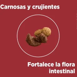 Alimento seco para perro PURINA® ONE® Cachorro Pollo y Carne