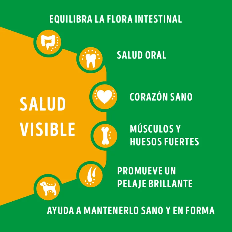 Alimento seco para perro DOG CHOW® Adultos Minis y Pequeños Pollo y Pavo 8kg