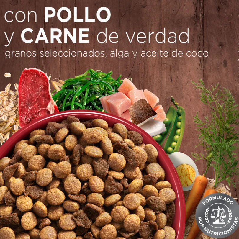 Alimento seco para perro PURINA® ONE® Adulto Mini y Pequeño Pollo y Carne