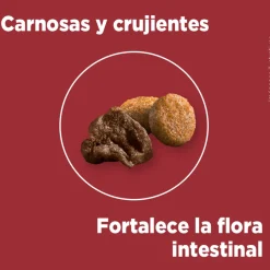 Alimento seco para perro PURINA® ONE® Adulto Mini y Pequeño Pollo y Carne