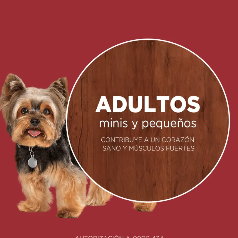 Alimento seco para perro PURINA® ONE® Adulto Mini y Pequeño Pollo y Carne