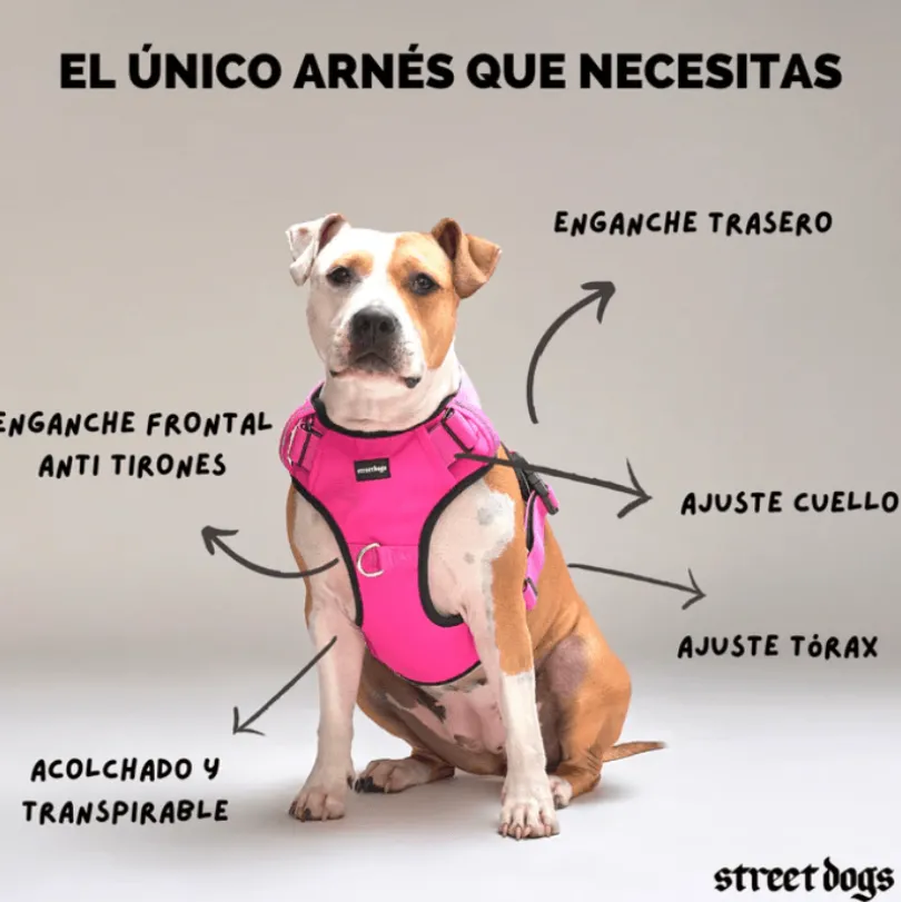 Arnés Comfort para Perros StreetDogs Pink L