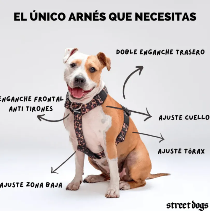 Arnés Strap para Perros Street Dogs Black L