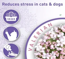 Beaphar Calming Home Spray Calmante Perros y Gatos 125ml