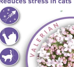 Beaphar Calming Spot On Pipeta Calmante Gato 3 unidades