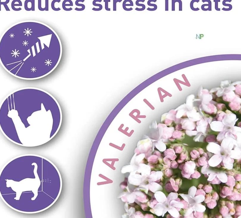 Beaphar Calming Spot On Pipeta Calmante Gato 3 unidades