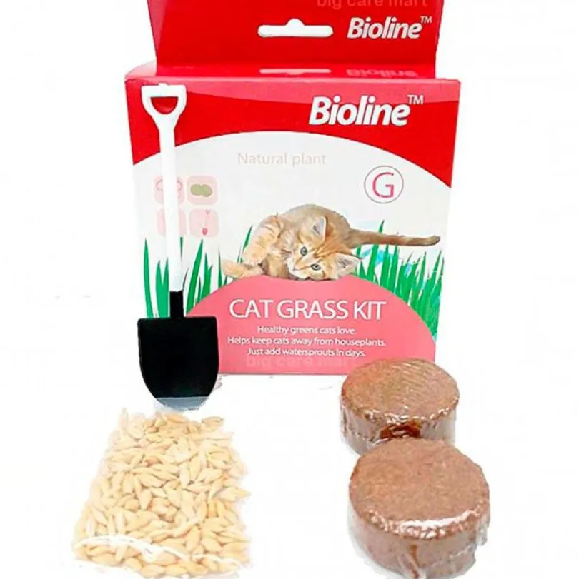 Bioline Kit de siembra hierba gatera 12gr