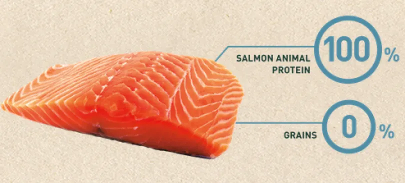 Bravery Salmon Adult Cat 2kg