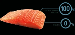 Bravery Salmon Adult Large Medium 12kg