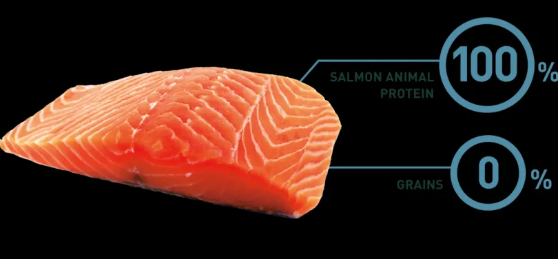 Bravery Salmon Mini Adult 7kg