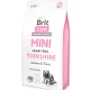 Brit Care Adult Mini Yorkshire 2kg