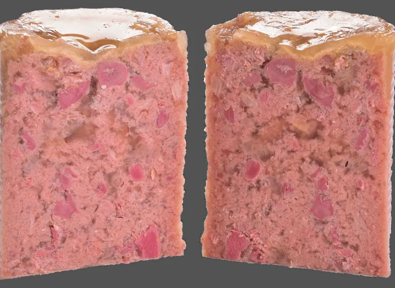 Brit Care Paté & Meat Salmón 400gr