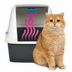 Cat it Magic Blue Cartucho