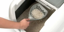 Cat it Pala para Arena Sanitaria Celeste