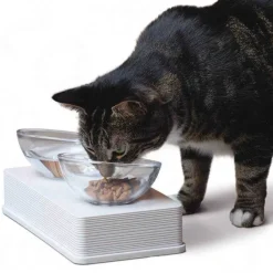 Cat It Plato de vidrio Base Blanca para gatos